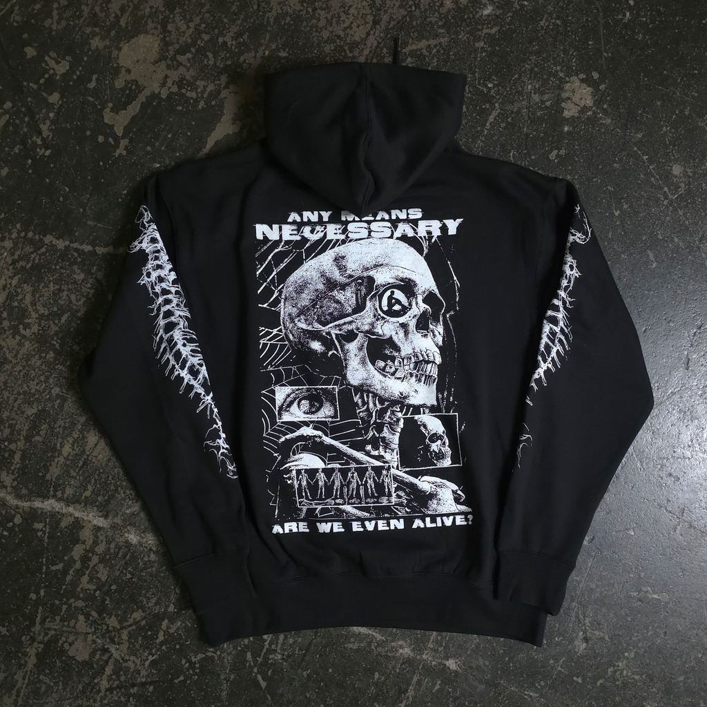 Are We Even Alive Pullover Hoodie Black
